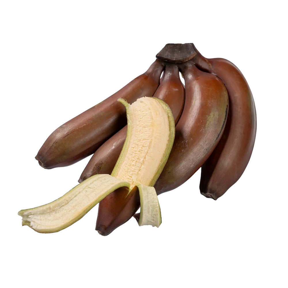 Banane Rose
