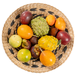 Box Découverte Fruits Exotiques ( S )