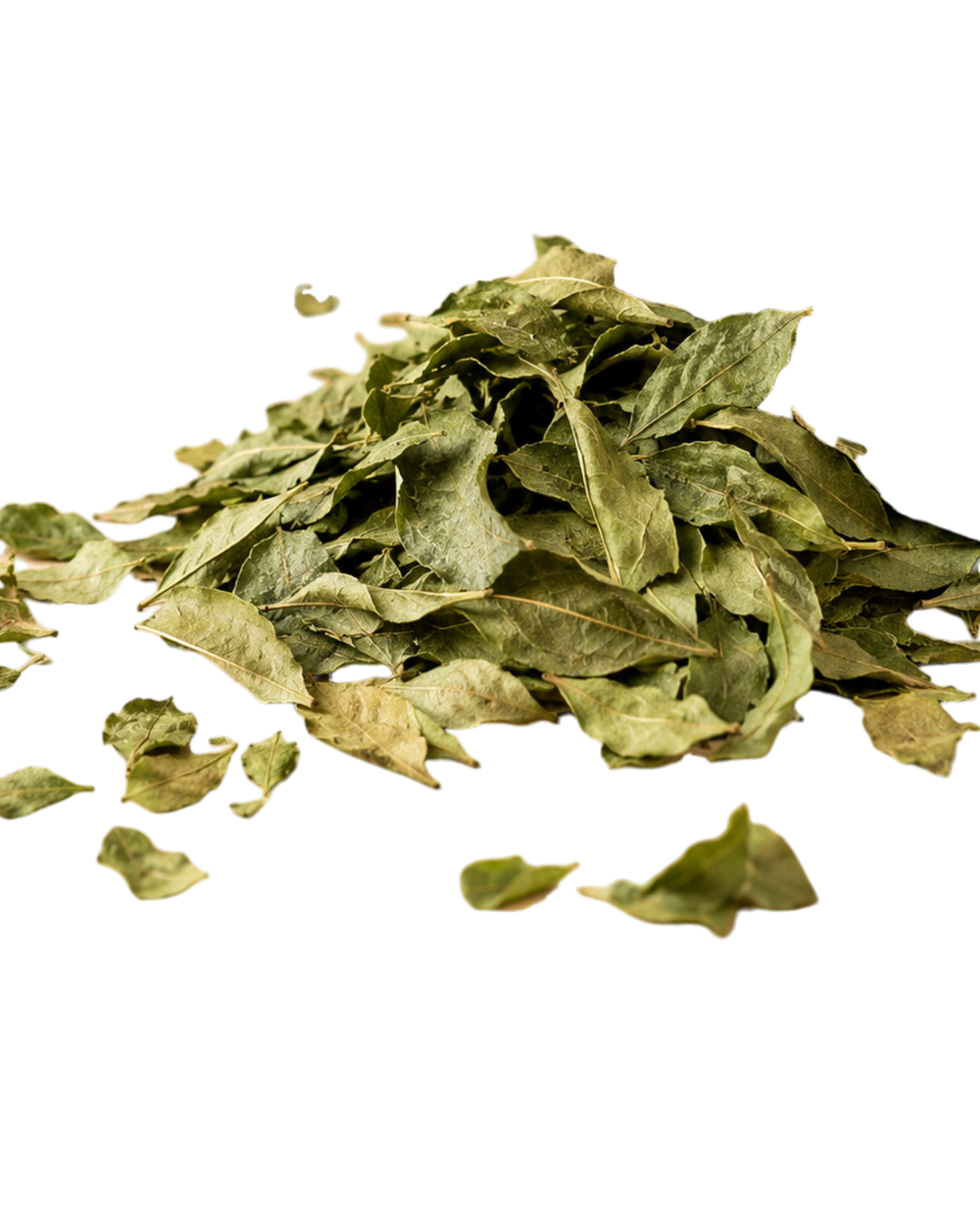 Feuilles de Caloupilé Déshydratées de l'Île de la Réunion