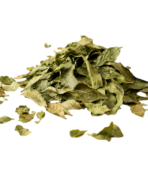 Feuilles de Caloupilé Déshydratées de l'Île de la Réunion