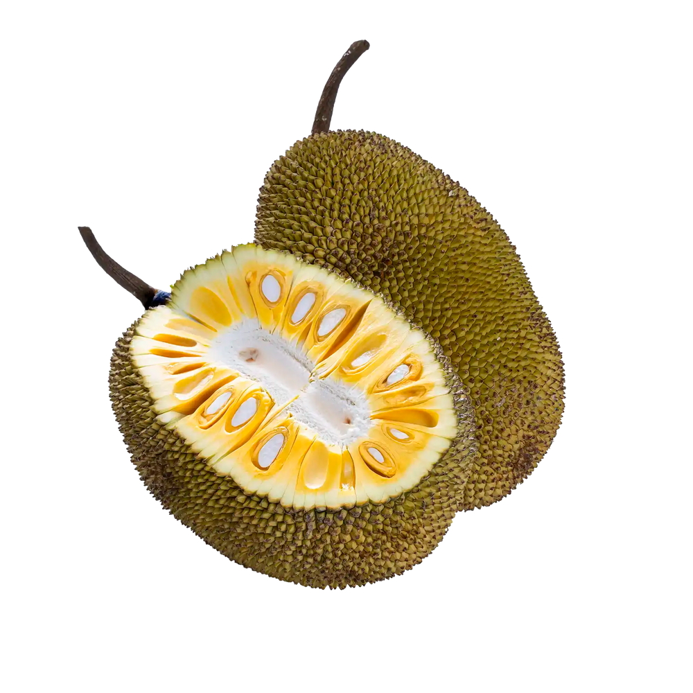 Cempedak
