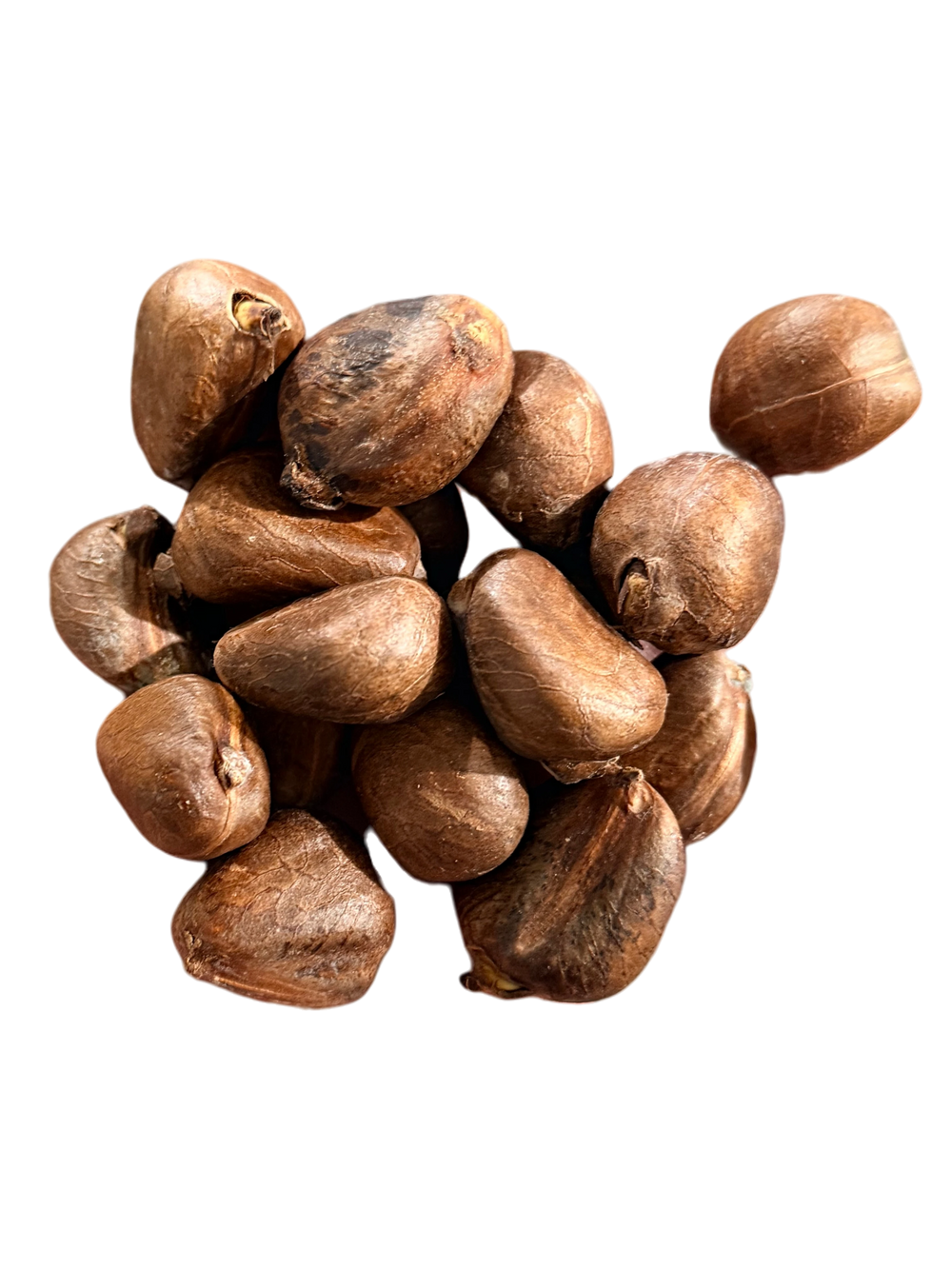 Chataigne de Martinique