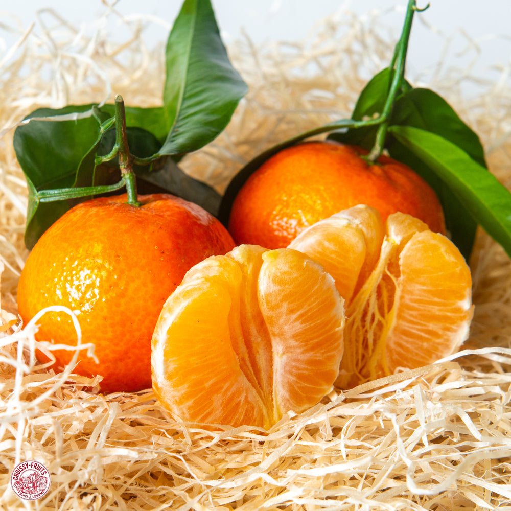 Clementines feuilles