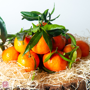 Mandarine feuilles