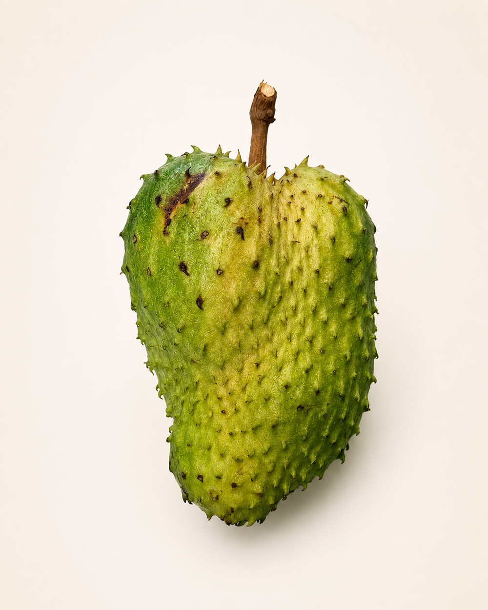 Corossol de l'Île de la Réunion