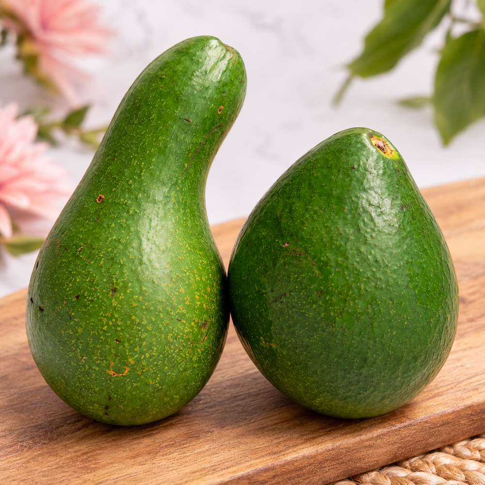 Avocat de la Réunion — vue rapprochée