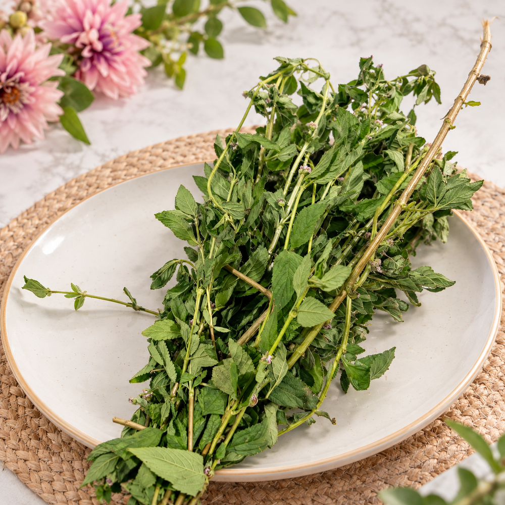 Feuille De Brisée 500g — mise en scène