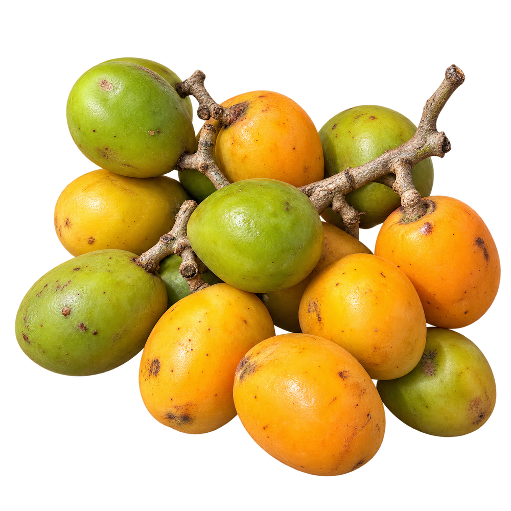 Prune chenille de Guadeloupe (prune du Chili) — packshot détouré