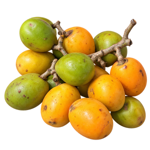 Prune chenille de Guadeloupe (prune du Chili) — packshot détouré