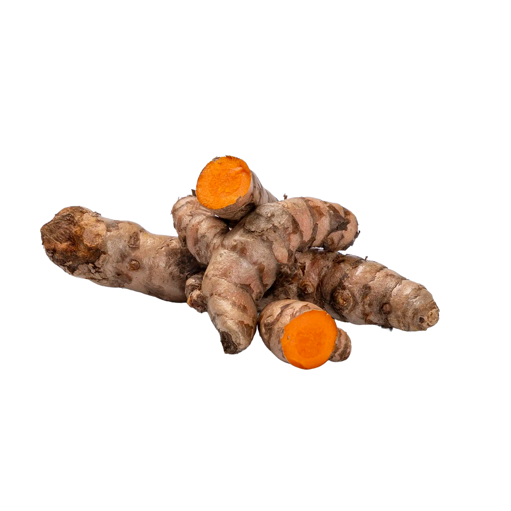 Curcuma frais