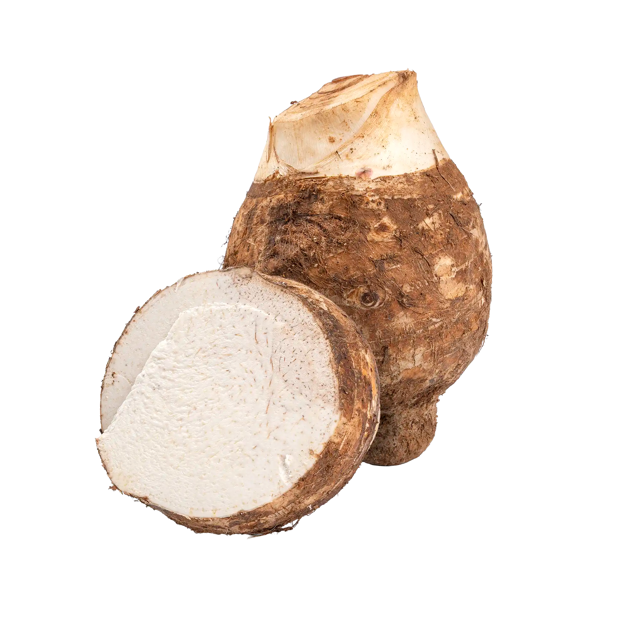 Dachine frais de Martinique, tubercule à la peau brune et à la chair blanche