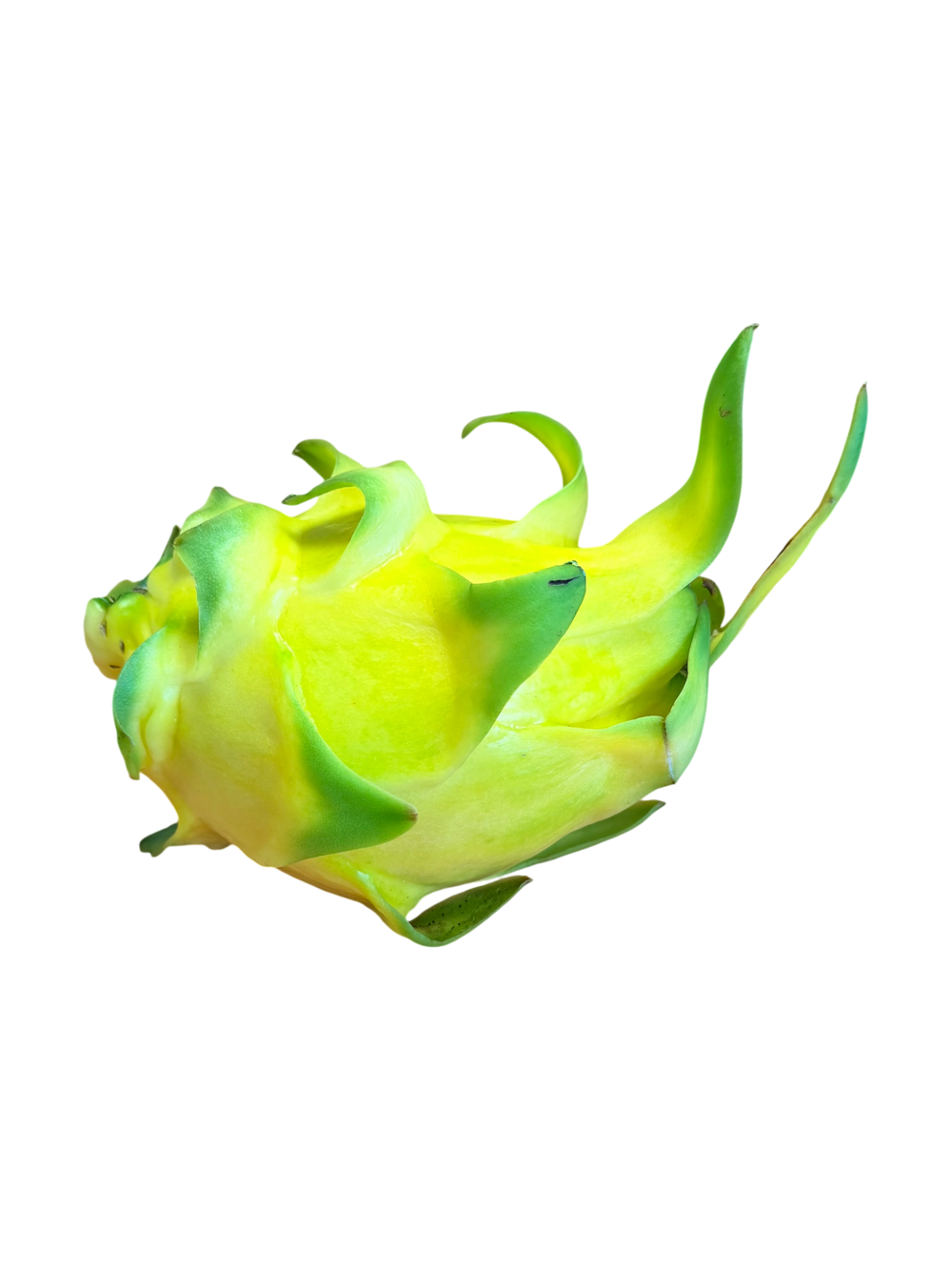 Fruit du Dragon Jaune