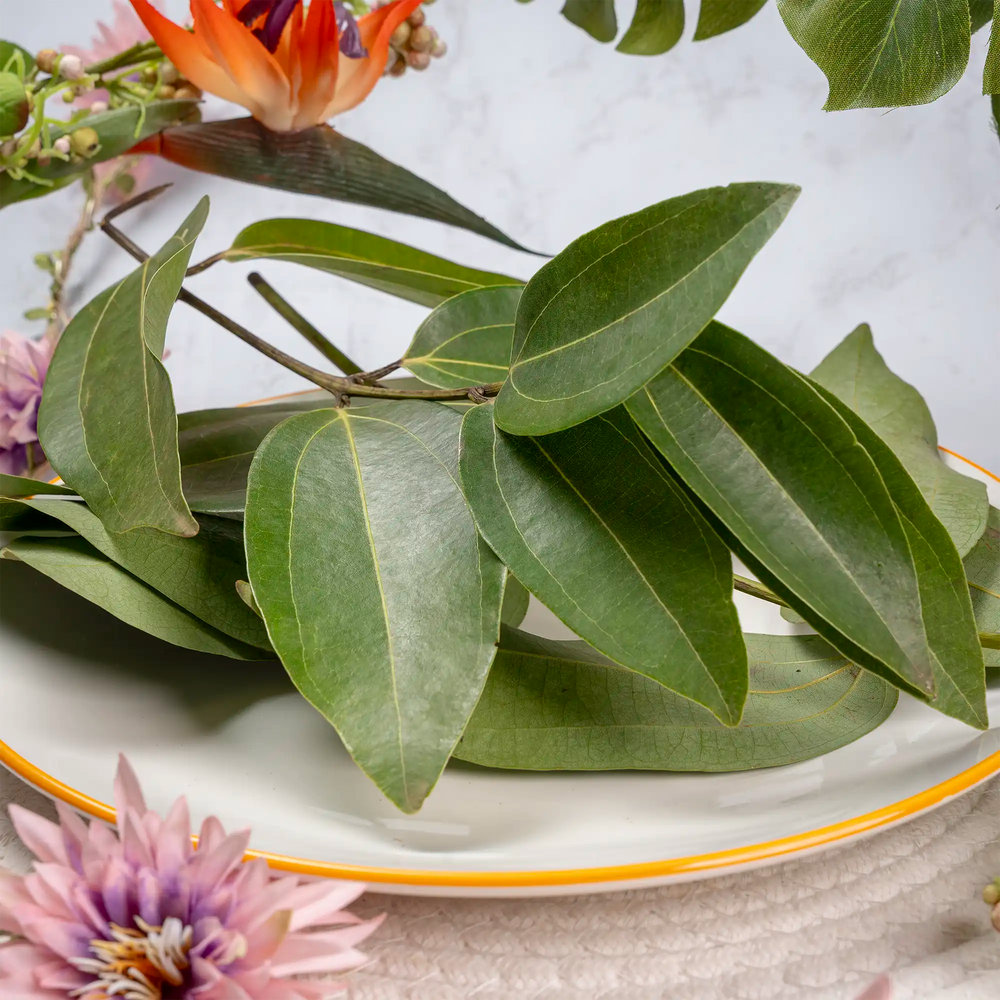 Feuilles de cannelle fraîches