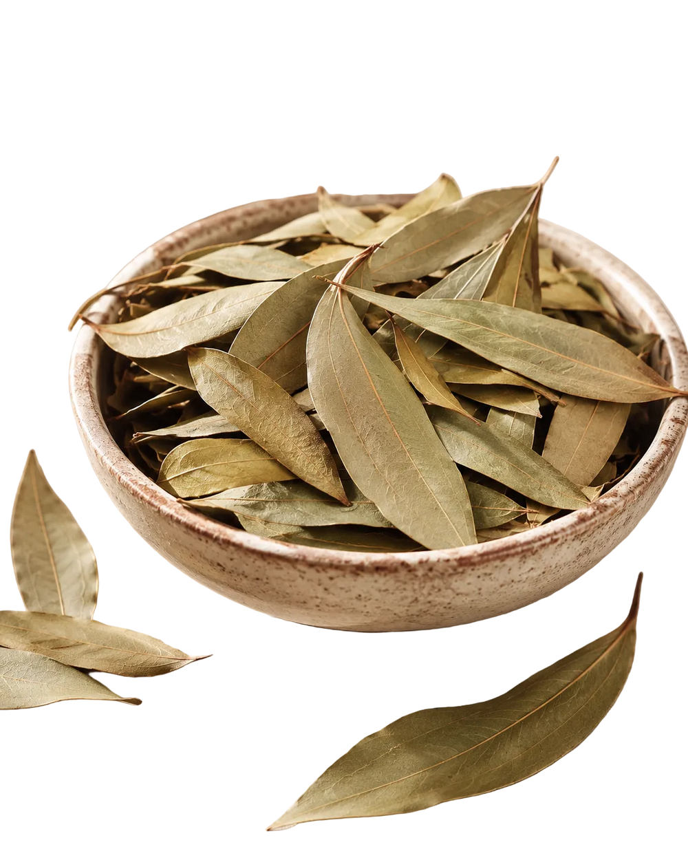 Feuilles de Cannelle Déshydratées de l'Île de la Réunion