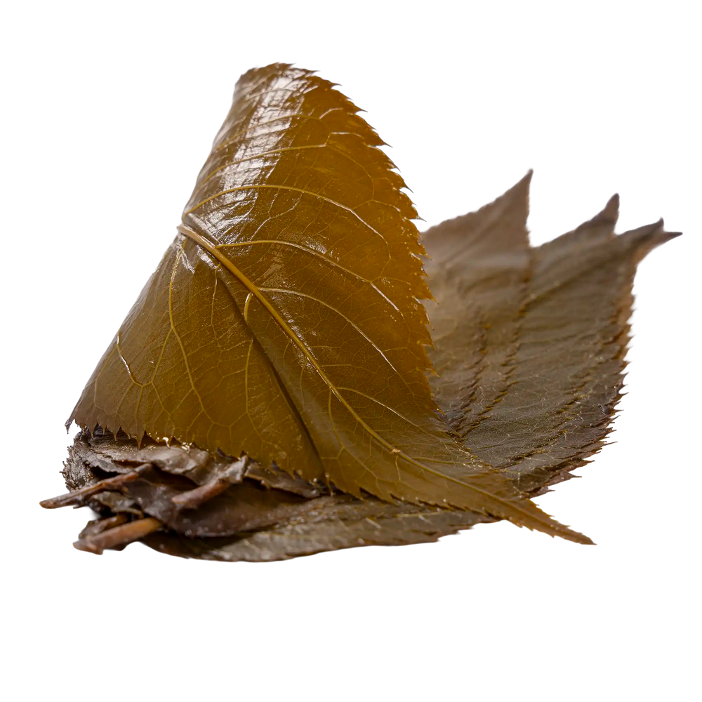 Feuilles de sakura
