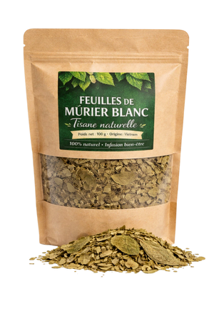 Feuilles de mûrier blanc en tisane