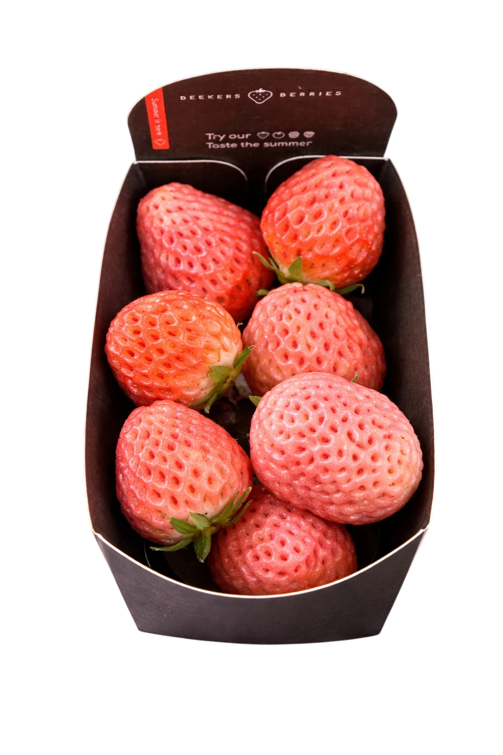 Fraise Rose 100g (camion frigorifique)
