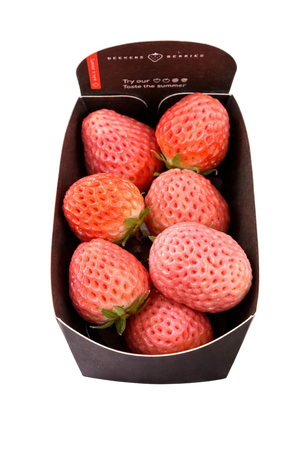 Fraise Rose 100g (camion frigorifique)