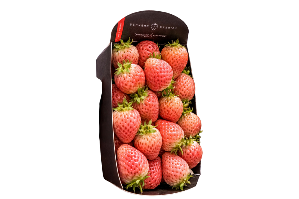 Fraise Bubble gum 100g (camion frigorifique)