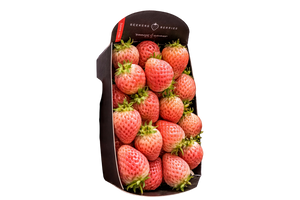 Fraise Bubble gum 100g (camion frigorifique)