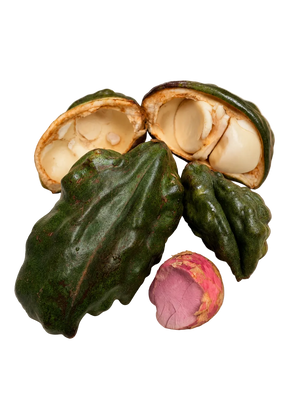 Kola Frais de l'Île de la Réunion