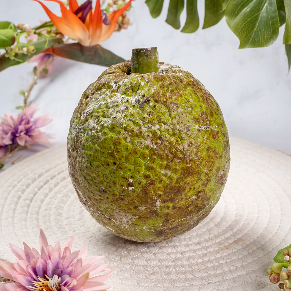 Fruits à pain de Guadeloupe