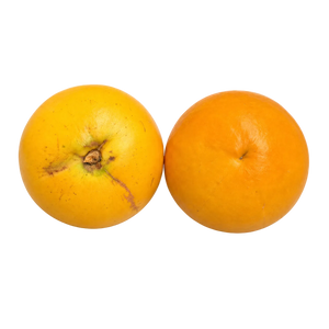 Golden caïmite de Thaïlande, pomme de lait dorée à peau jaune d'or et chair blanche laiteuse en étoile – fruit rare Croissy Fruits