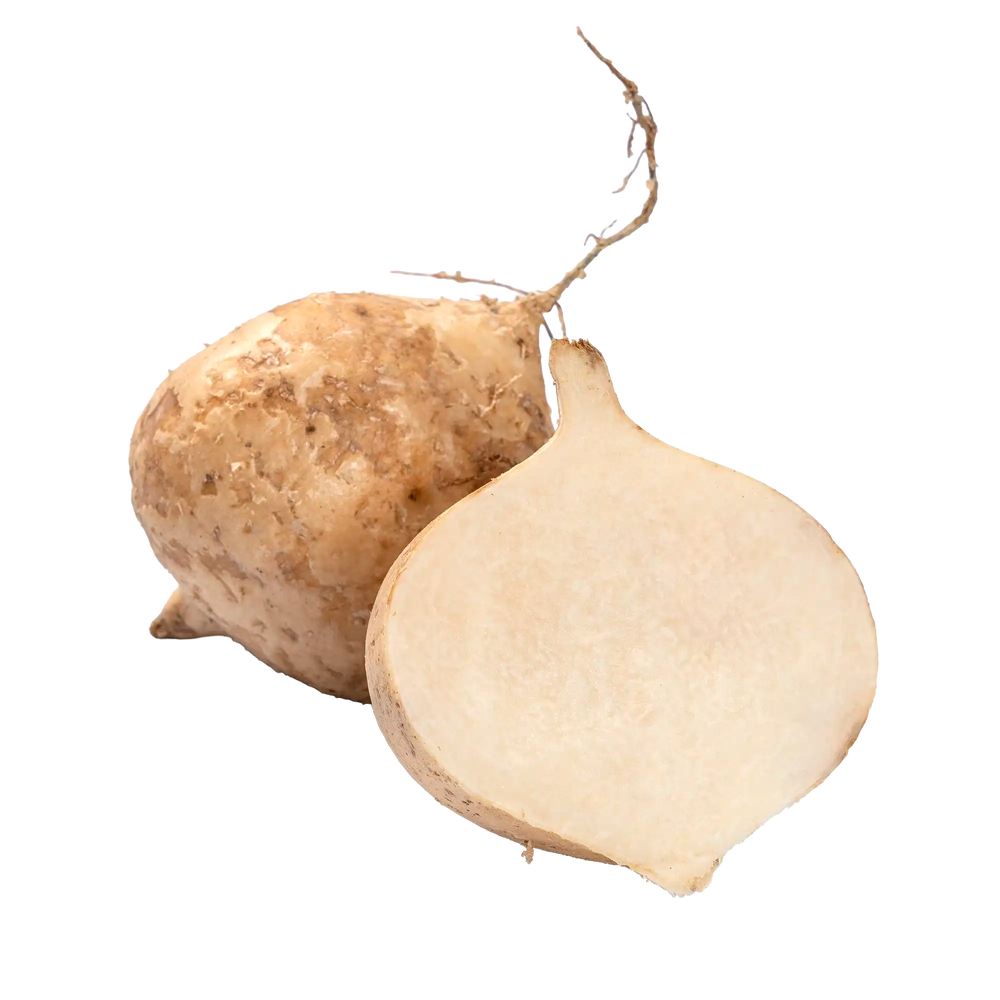 jicama ou pelenga