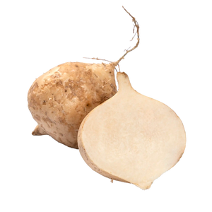 jicama ou pelenga