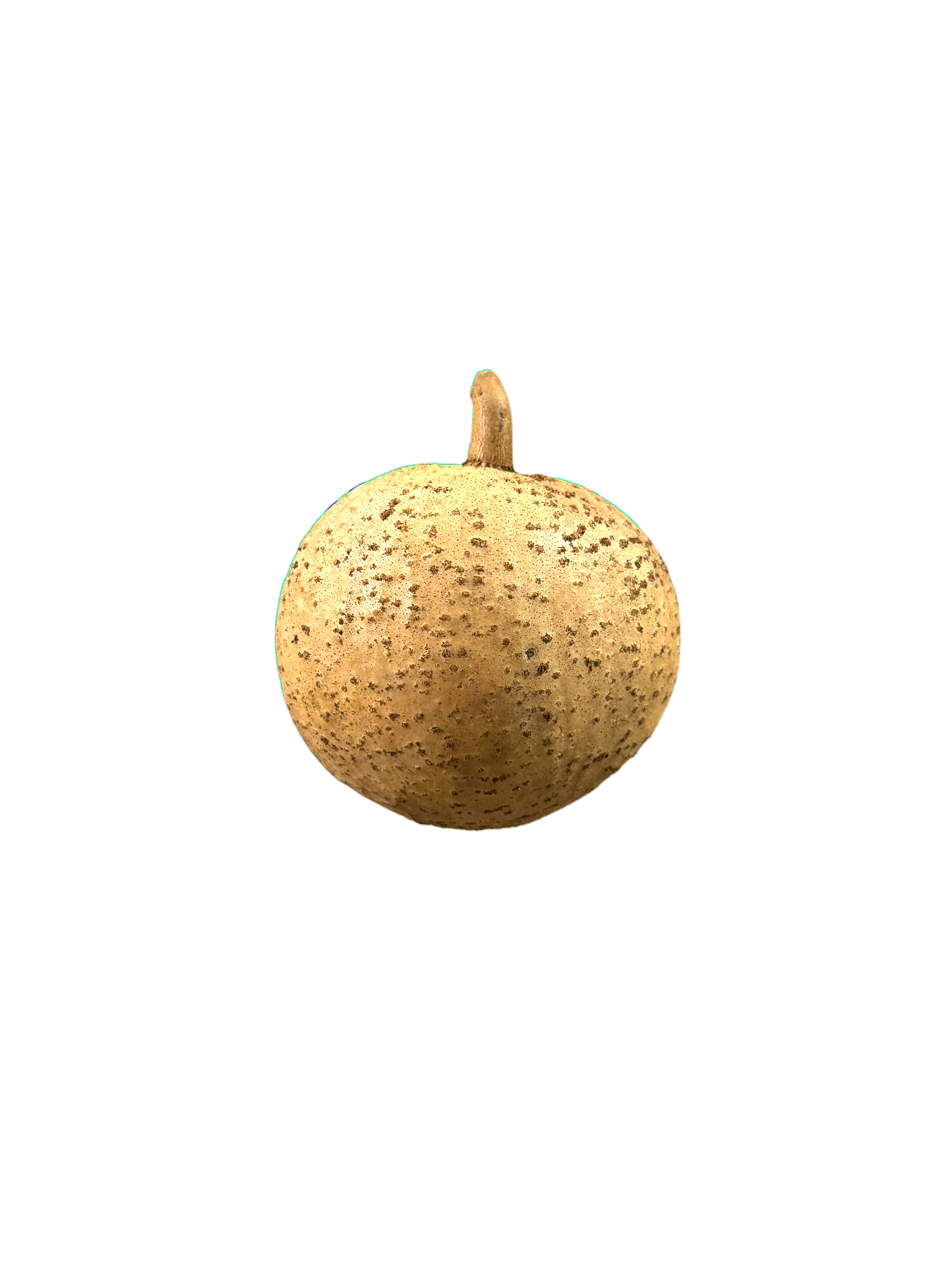 Abricot pays de Guadeloupe entier, gros fruit exotique à chair orangée