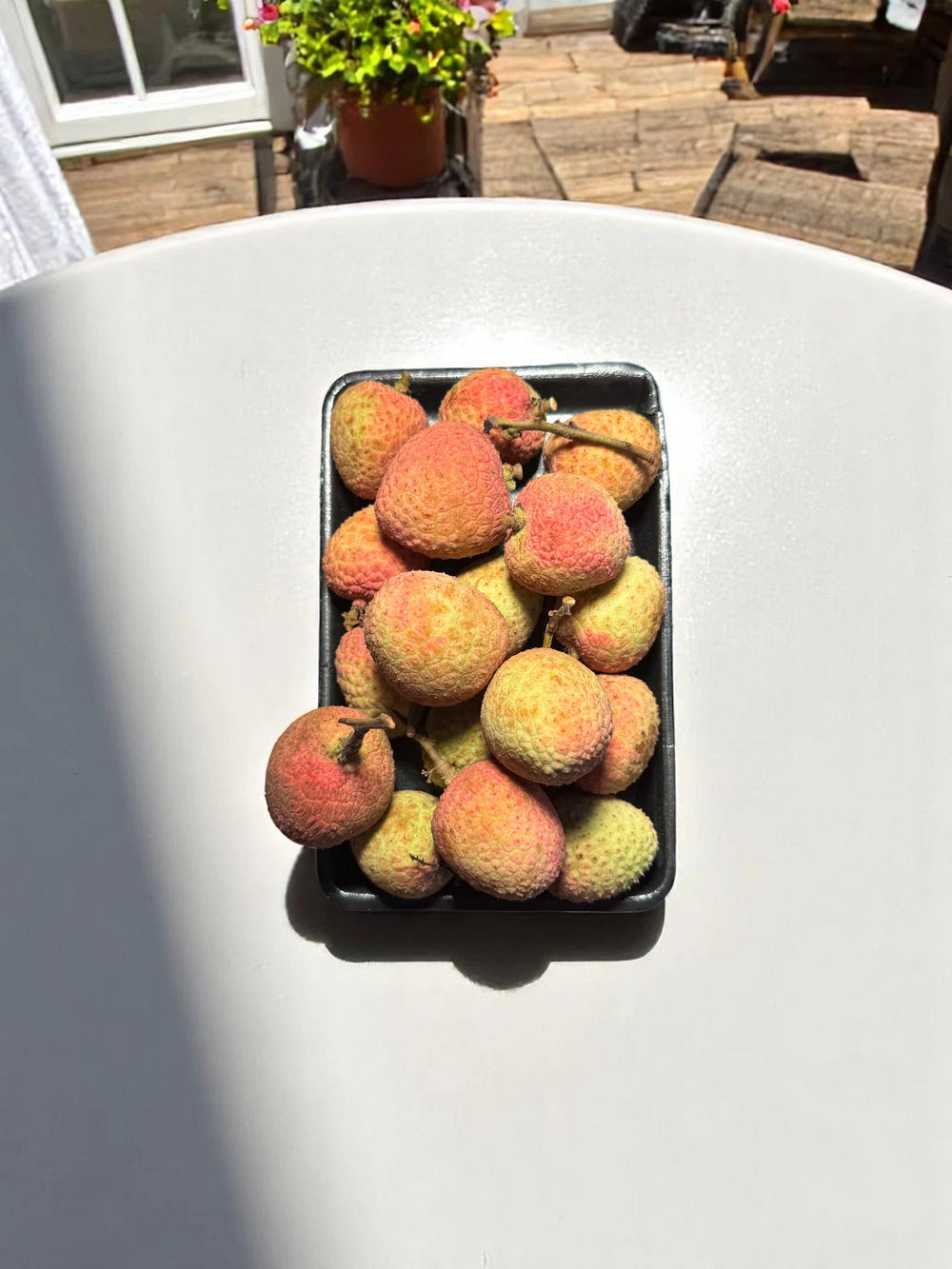 Litchi de printemps de Vietnam (saison terminée)