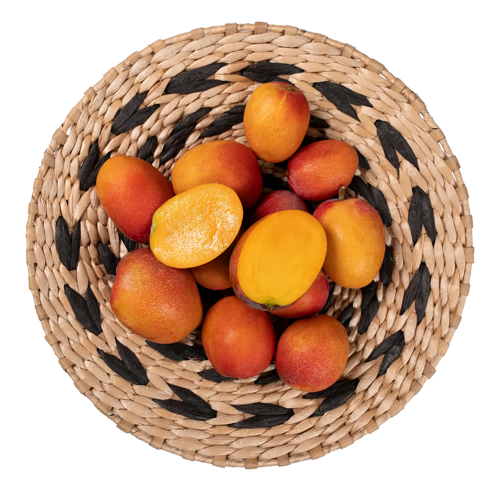 Mini mangue Irwin Bonbon d'Espagne