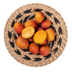 Mini mangue Irwin Bonbon d'Espagne