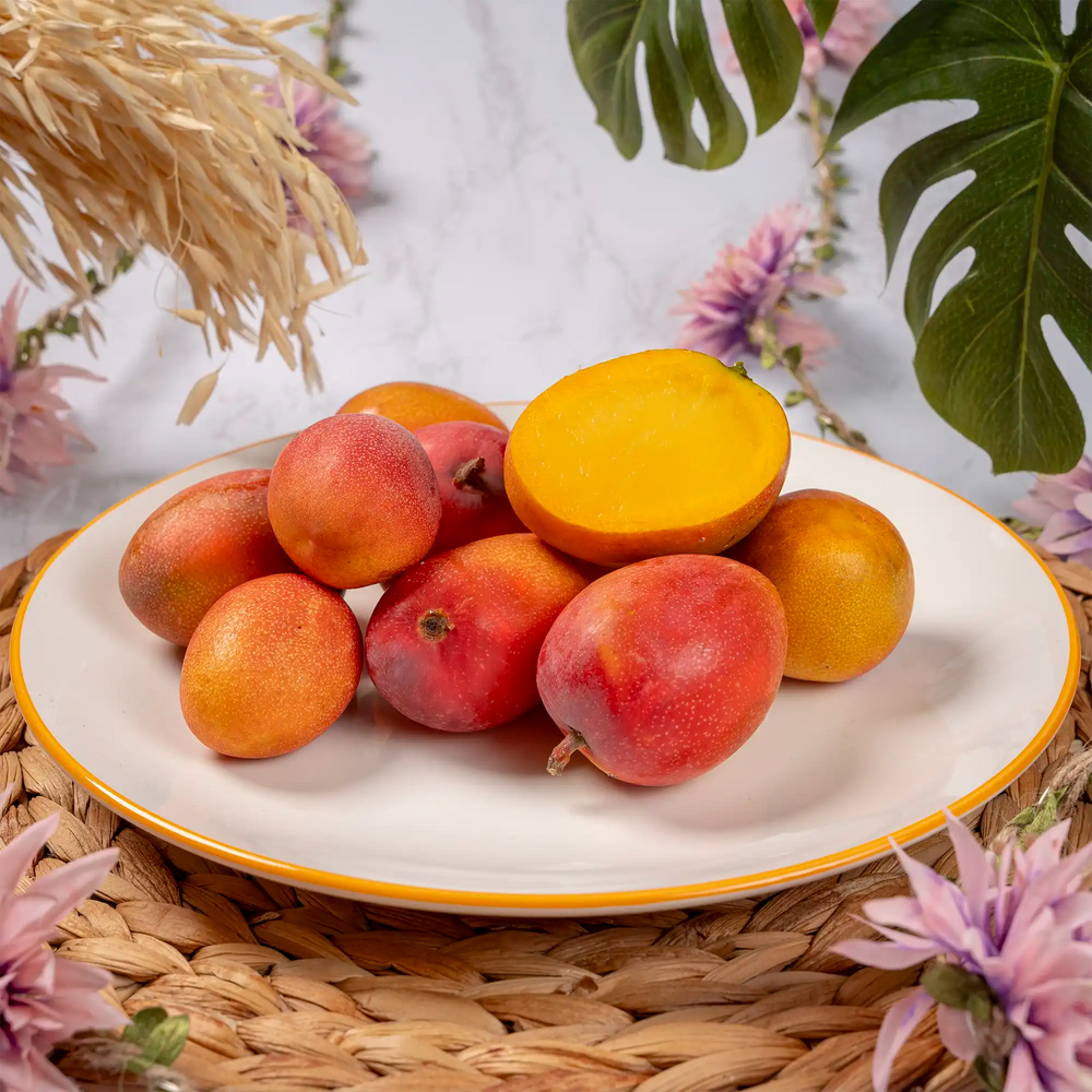 Mini mangue Irwin Bonbon d'Espagne