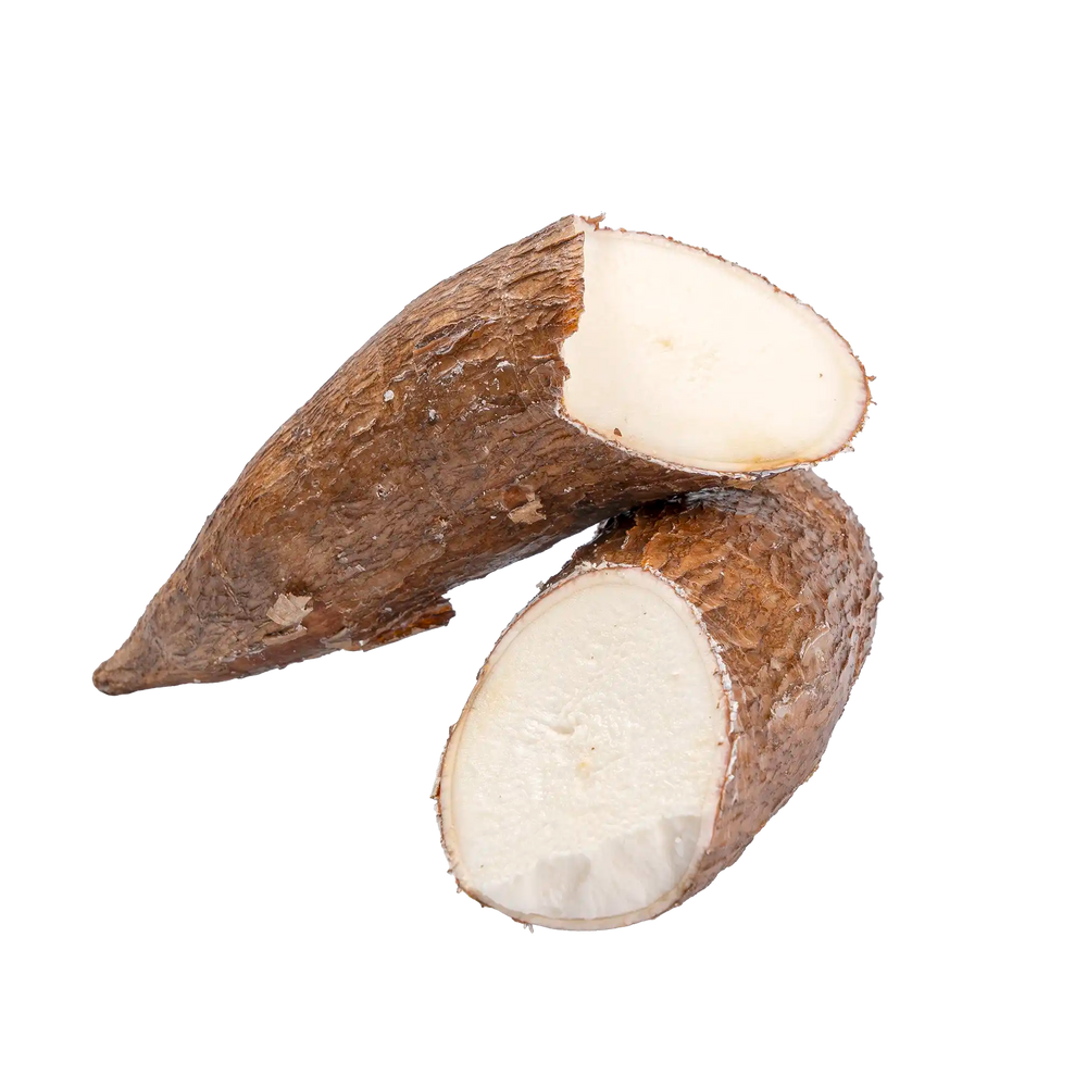 Manioc