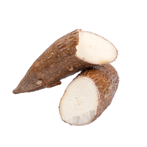 Manioc