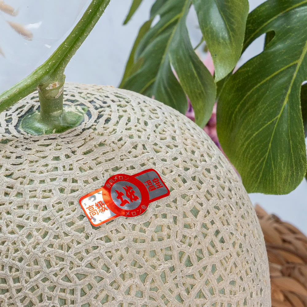 Melon Japonais 1.7kg