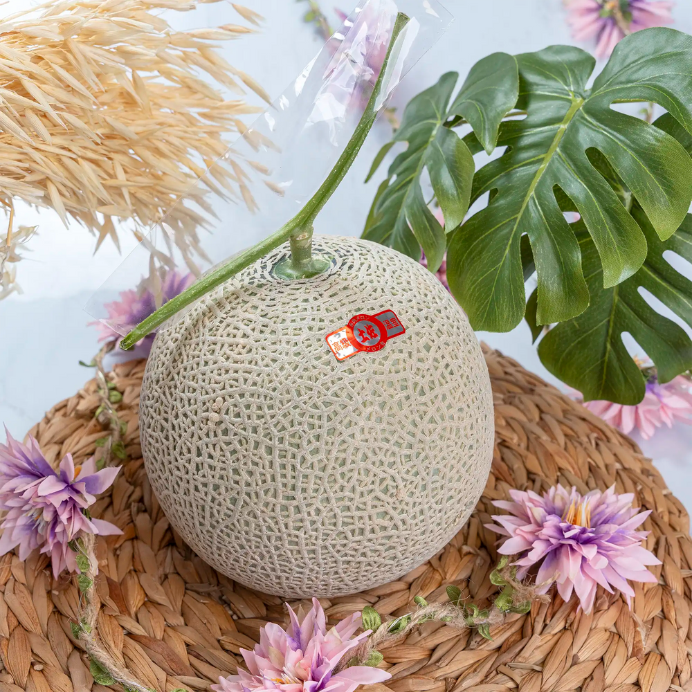 Melon Japonais 1.7kg
