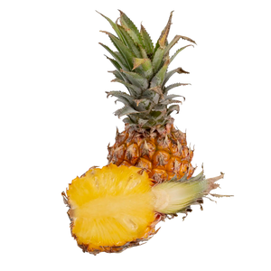 Ananas phulae "micro ananas"