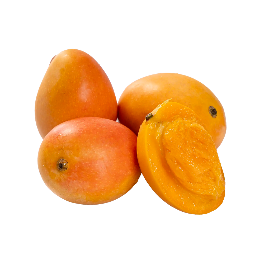 Mini mangue azucar de Colombie (saison terminée)