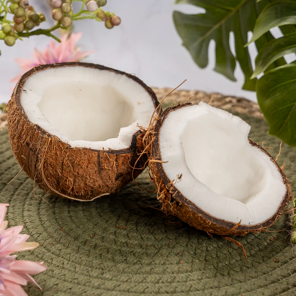 Noix de coco