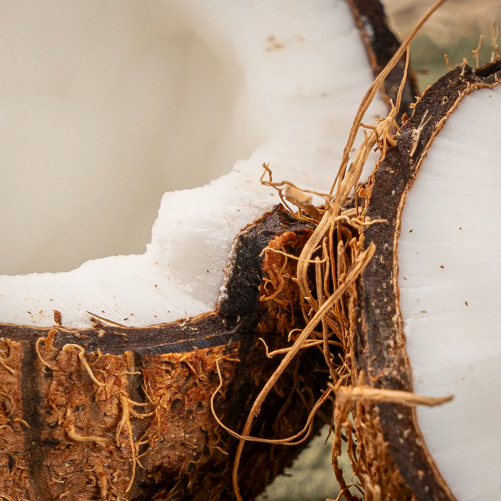 Noix de coco