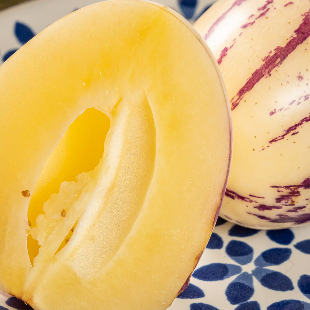 Pepino melon