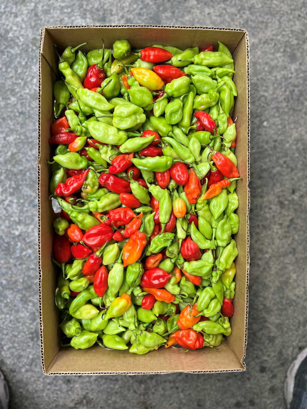 Piment vegetarien de Martinique