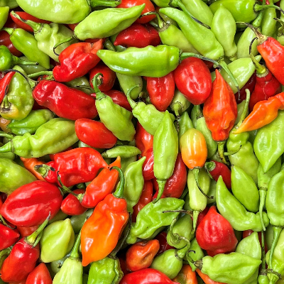 Piment vegetarien de Martinique