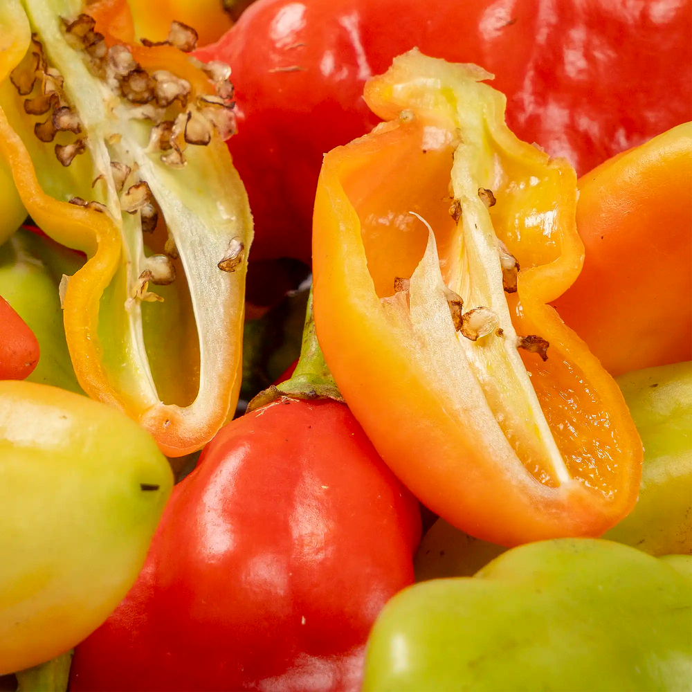Piment vegetarien de Martinique