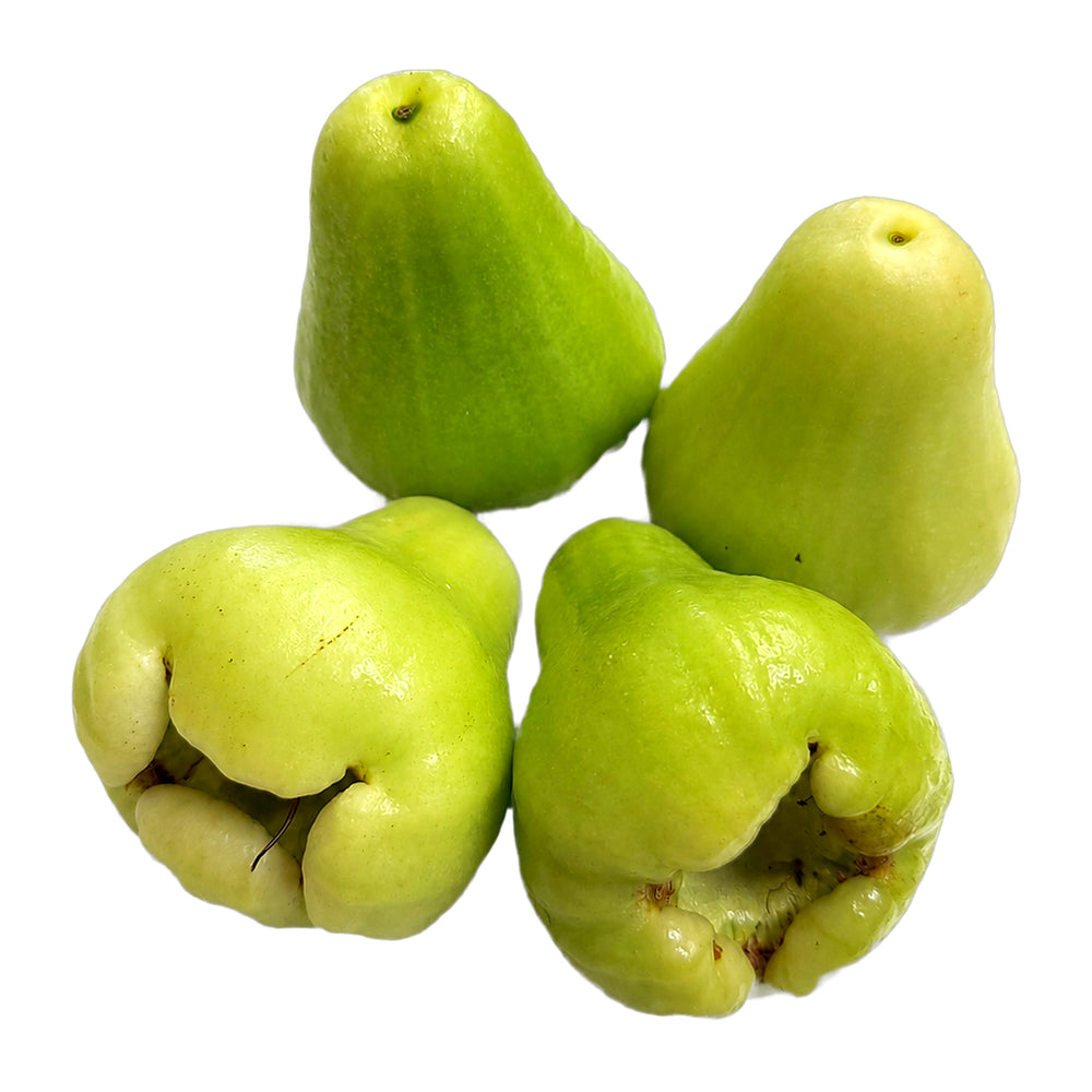 Pommes d'eau vertes du Vietnam fraîches, chair croquante et gorgée d'eau, vendues au poids par Croissy Fruits, sur fond blanc