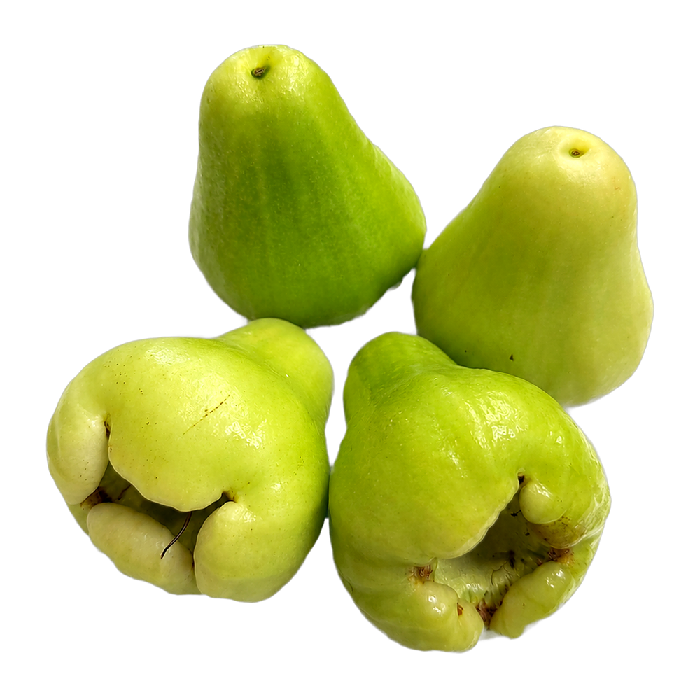 Quatre pommes d'eau vertes du Vietnam (roi xanh, Syzygium samarangense) en forme de cloche, peau vert clair lisse et cireuse, sur fond transparent