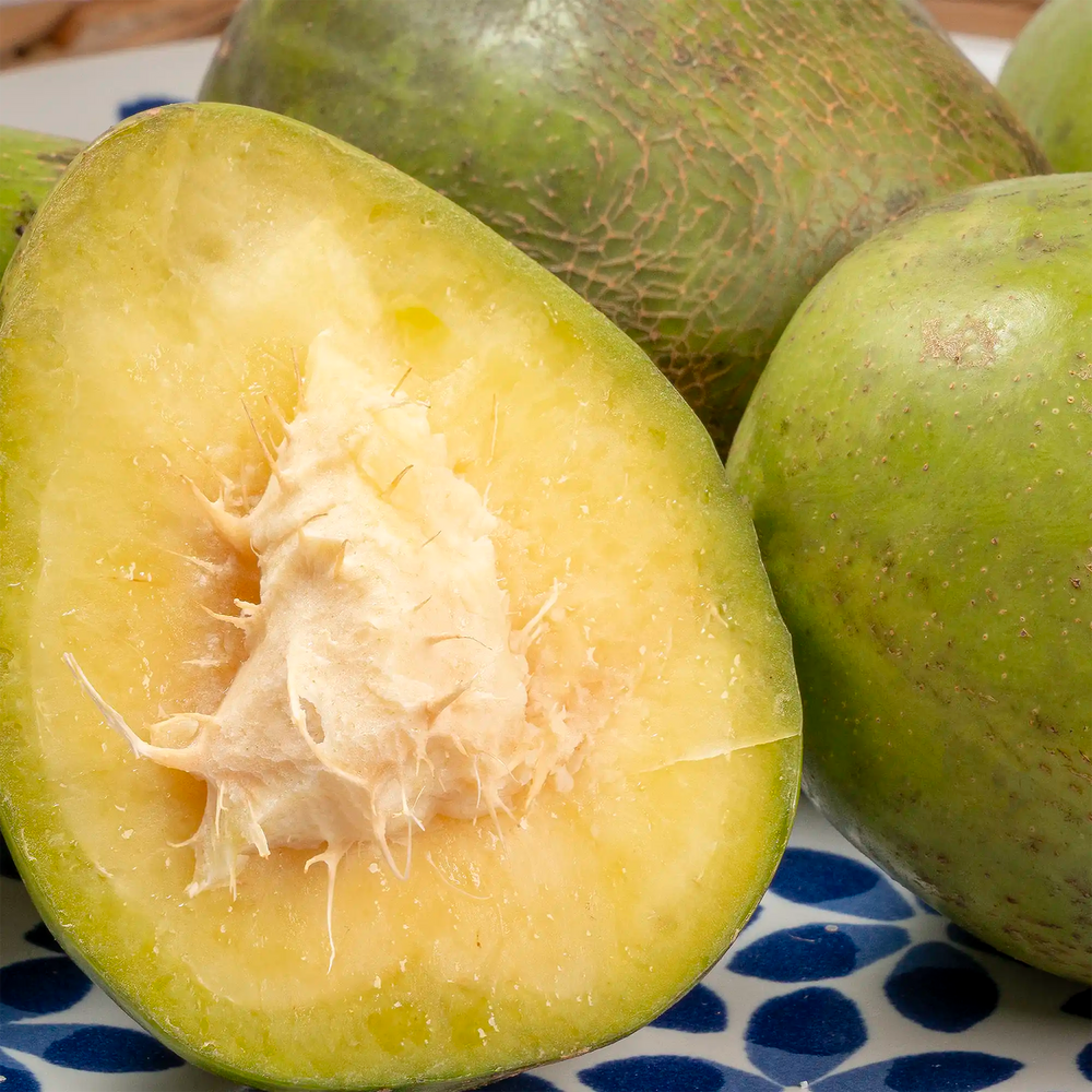 Prunes de cythere de martinique