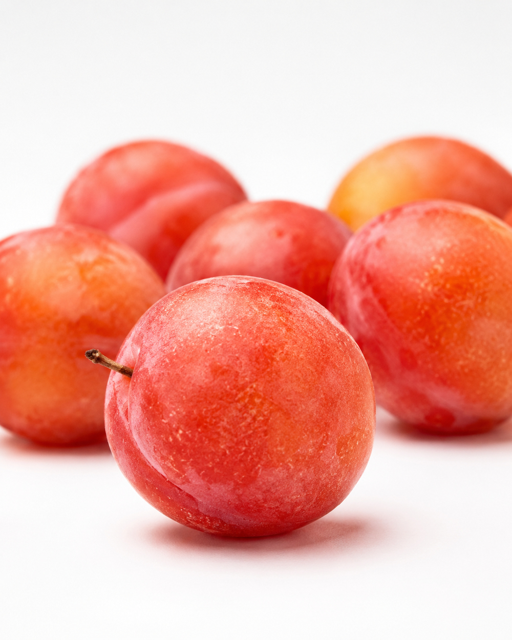 Prune Soryana